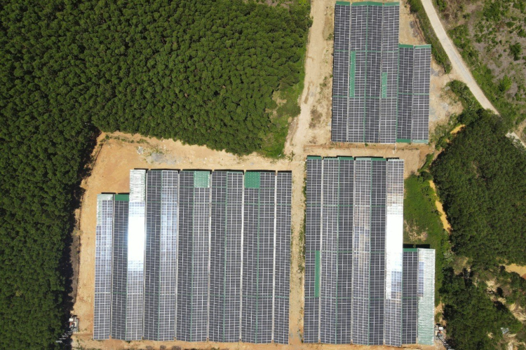 Dự án: Trang trại sản xuất Nông nghiệp công nghệ cao kết hợp lắp Điện mặt trời áp mái Lộc Phát